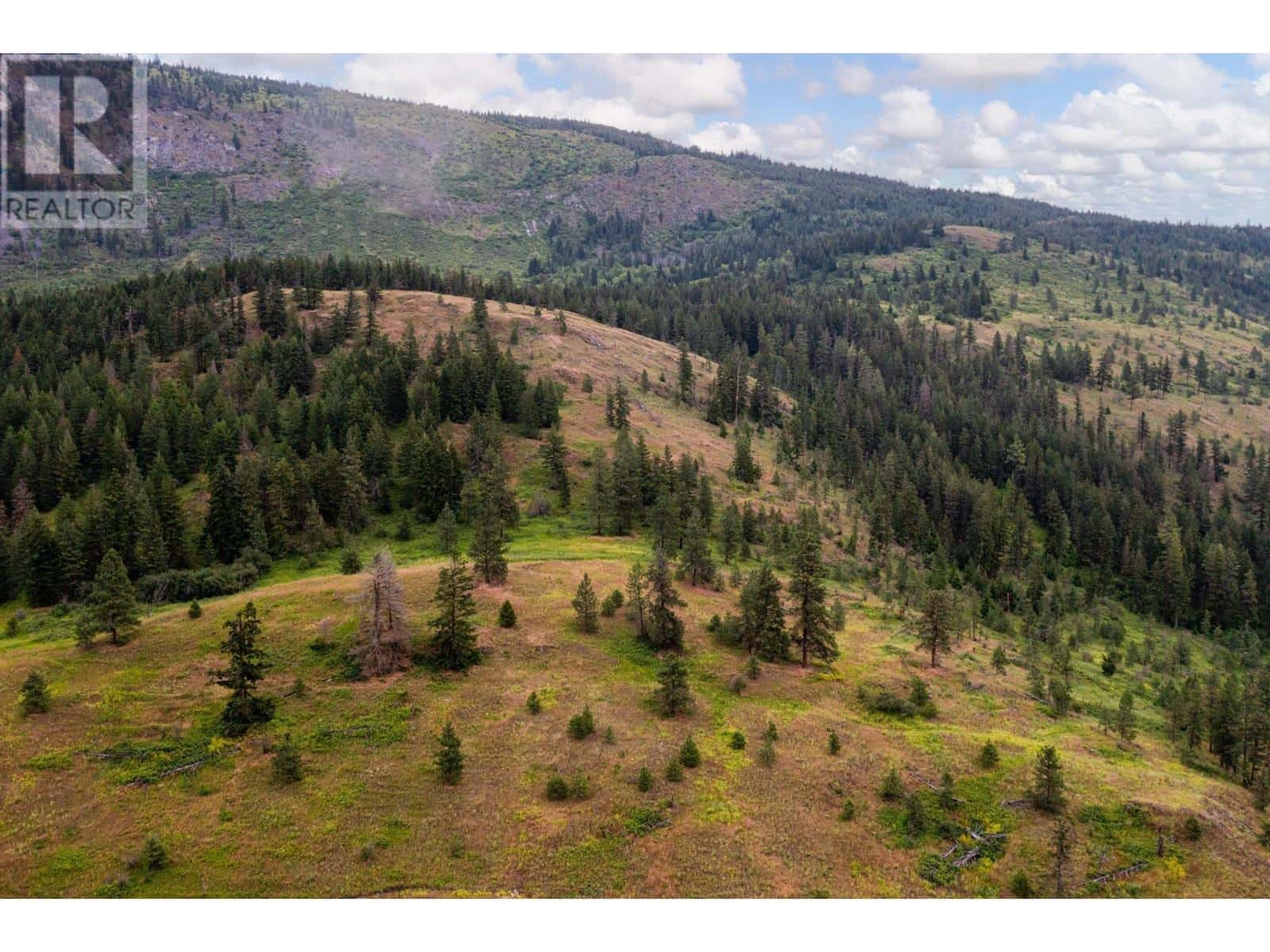 6189 TRANS CANADA Highway — Chase, British Columbia - Photo 5 of 14