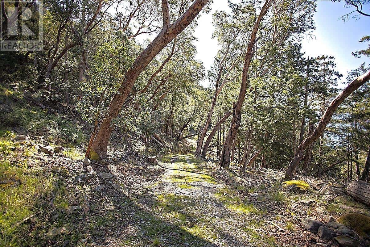 206 NARROWS WEST ROAD — Salt Spring Island, British Columbia - Photo 4 of 28