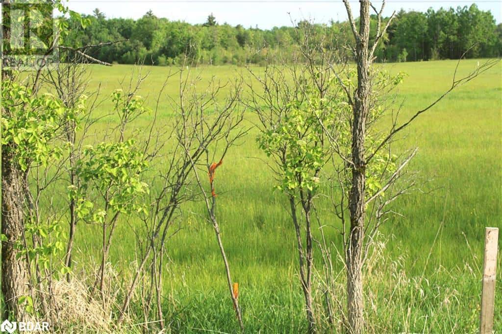 1521 KILWORTHY Road Unit# LOT 2 — Gravenhurst, Ontario - Photo 2 of 5