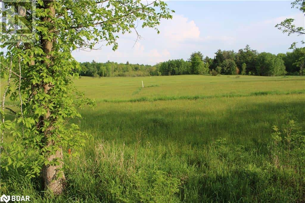 1521 KILWORTHY Road Unit# LOT 4 — Gravenhurst, Ontario - Photo 5 of 9