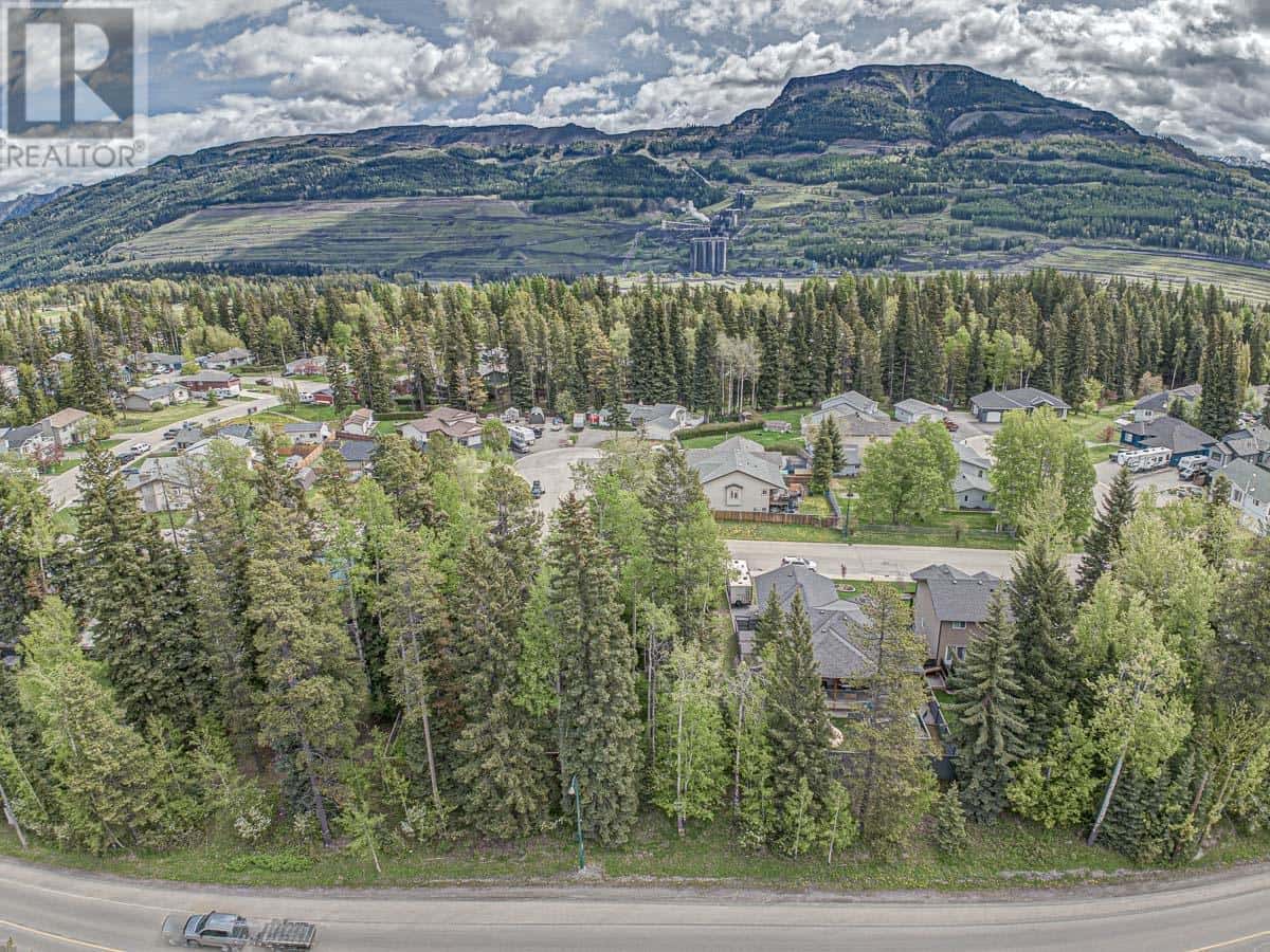 1323 WILDWOOD Drive — Sparwood, British Columbia - Photo 5 of 12