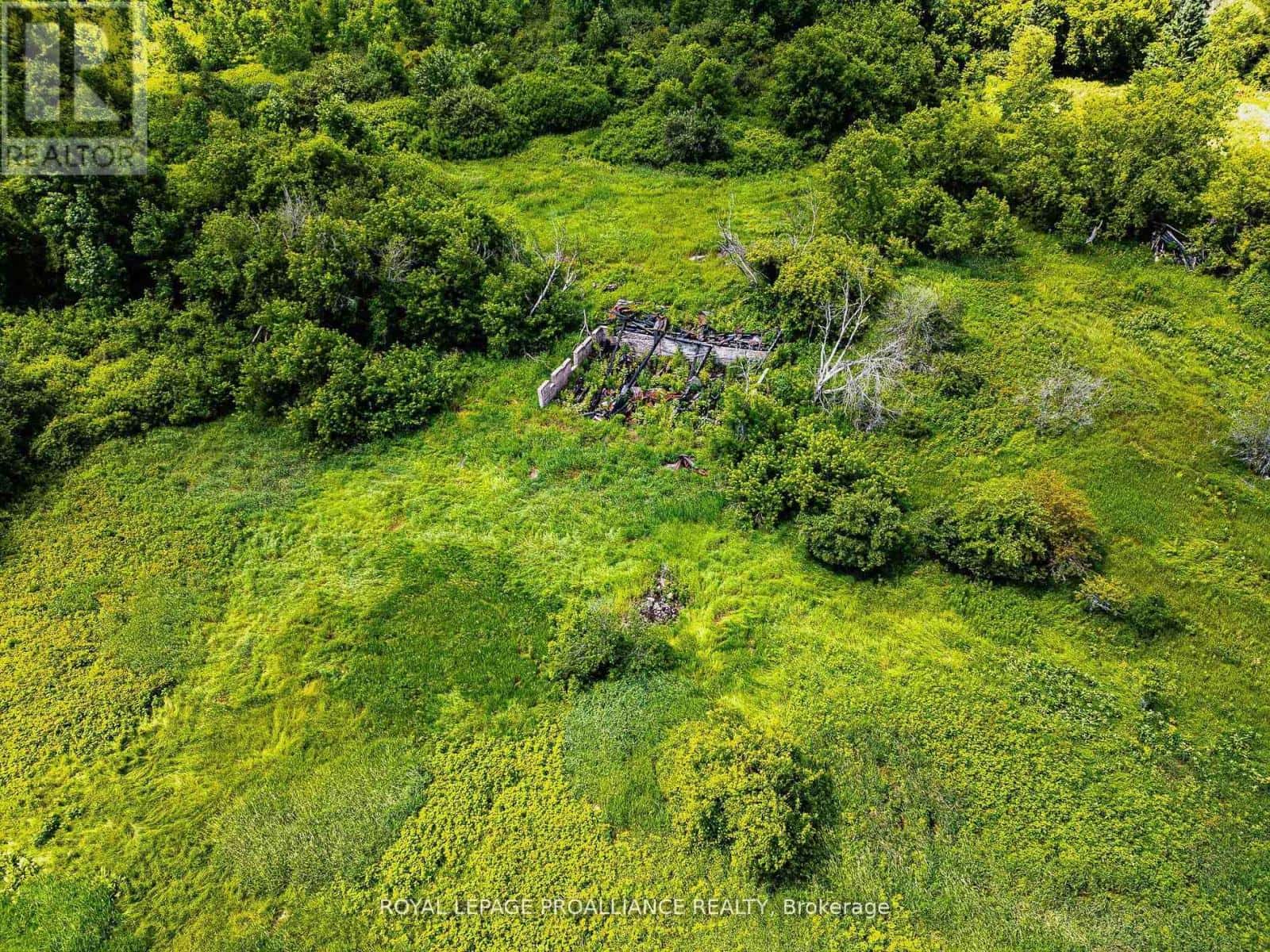 0 OLD MARMORA-PARCEL A,C,D ROAD — Centre Hastings, Ontario - Photo 2 of 40