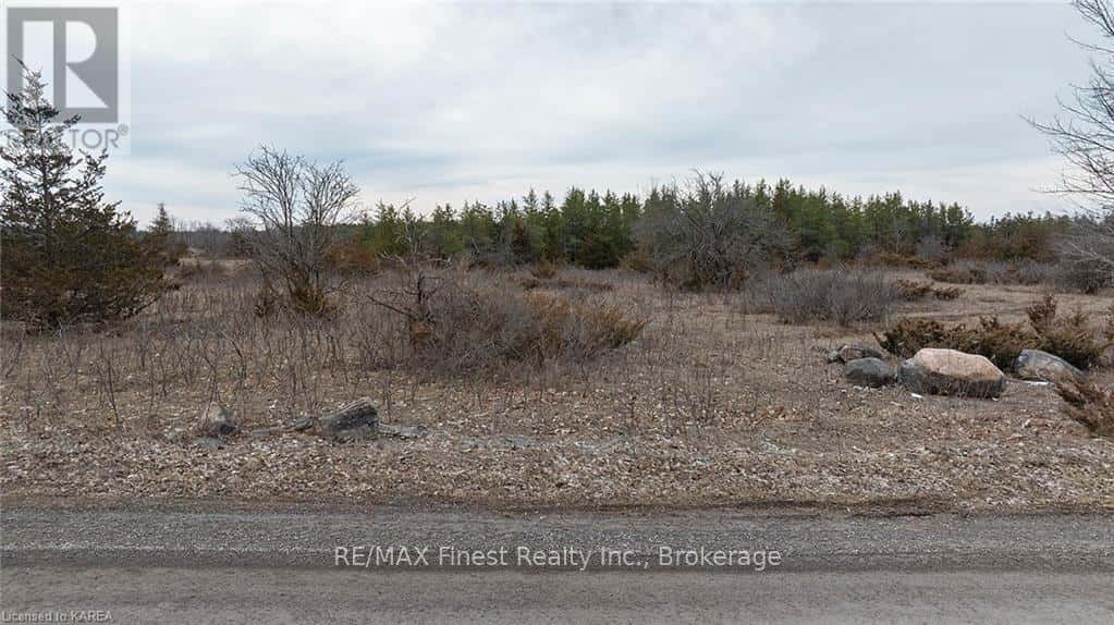 46 PETWORTH ROAD — Stone Mills (Stone Mills), Ontario - Photo 4 of 25