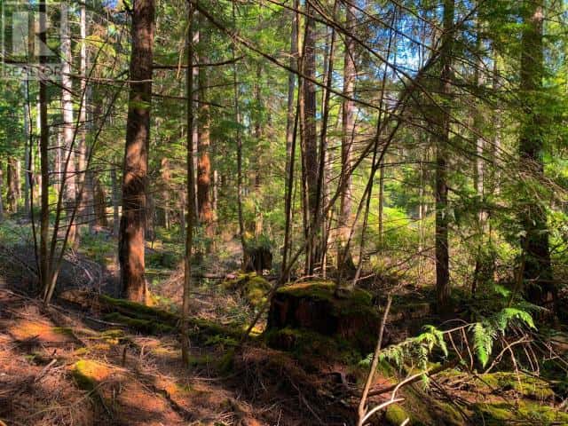 1855 VANCOUVER BLVD — Savary Island, British Columbia - Photo 4 of 19