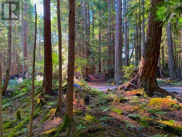 1855 VANCOUVER BLVD — Savary Island, British Columbia - Photo 5 of 19