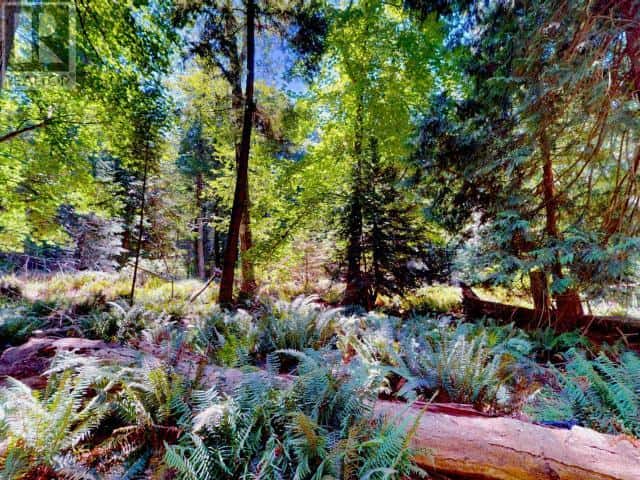 1394 VANCOUVER BLVD — Savary Island, British Columbia - Photo 3 of 19