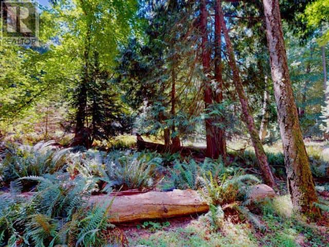 1394 VANCOUVER BLVD — Savary Island, British Columbia - Photo 4 of 19