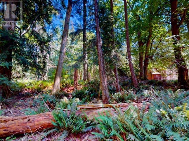 1394 VANCOUVER BLVD — Savary Island, British Columbia - Photo 5 of 19