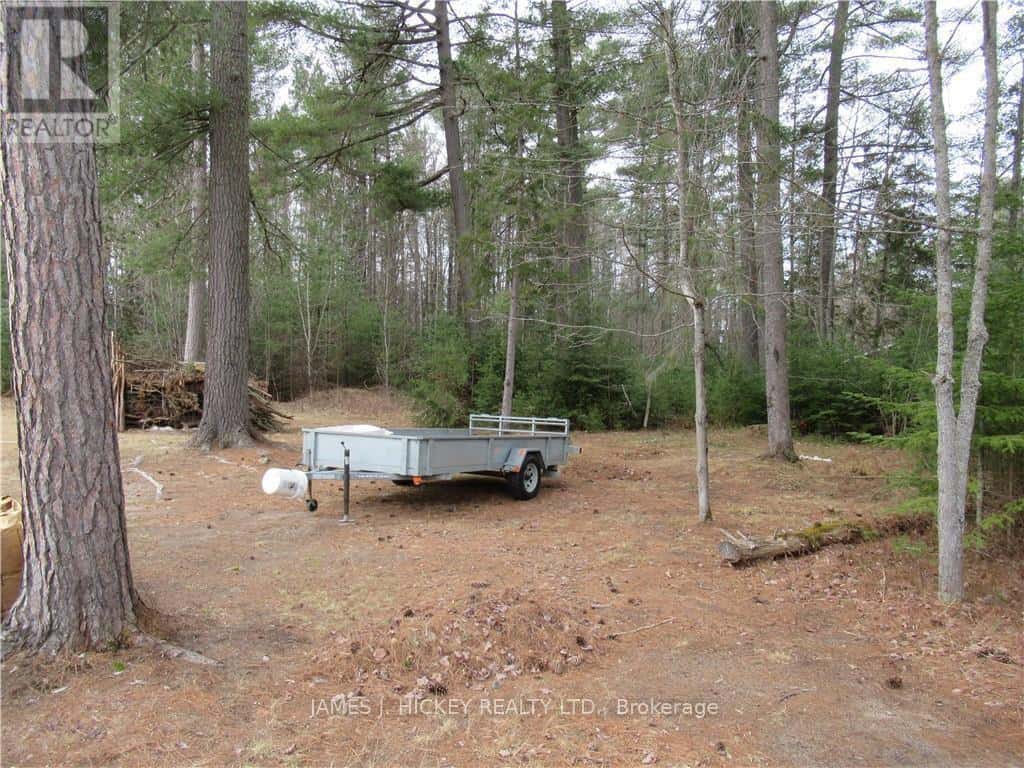 0 HIGHWAY 17 ROAD — Deep River, Ontario - Photo 3 of 4