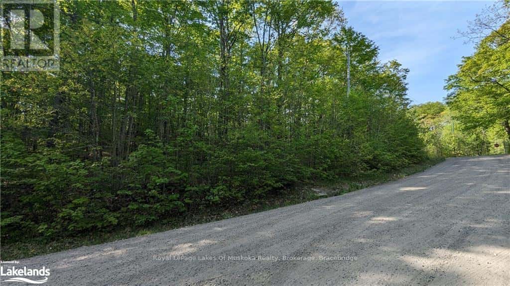 4 NORTHSHORE ROAD — Muskoka Lakes (Watt), Ontario - Photo 3 of 6