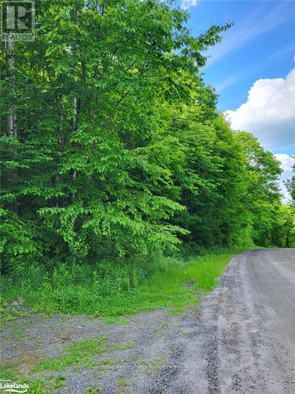 0 HAINES LAKE ROAD — McDougall, Ontario - Main photo