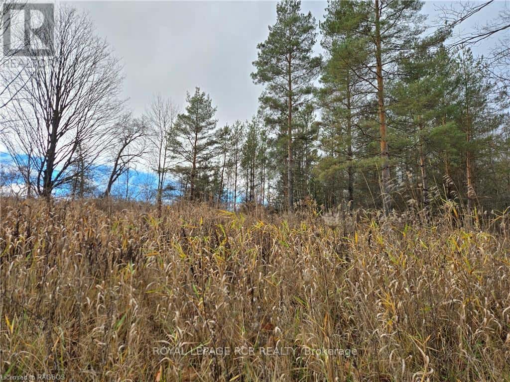 LT 8 WS HIGHWAY 6 — Chatsworth, Ontario - Photo 3 of 10