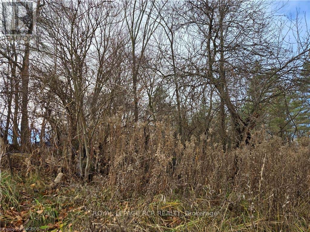 LT 8 WS HIGHWAY 6 — Chatsworth, Ontario - Photo 4 of 10