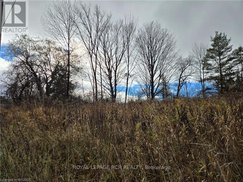 LT 8 WS HIGHWAY 6 — Chatsworth, Ontario - Photo 5 of 10