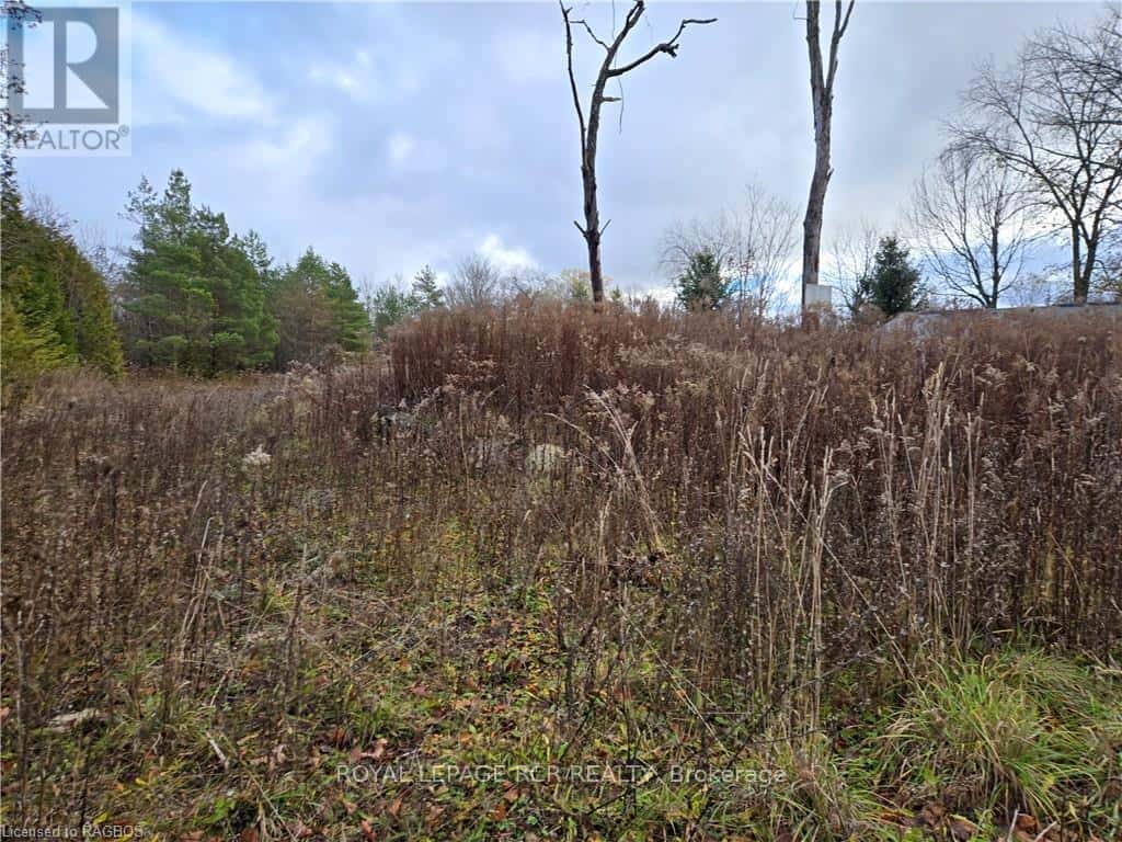 PTLT8ES SALTER STREET — Chatsworth, Ontario - Photo 3 of 12