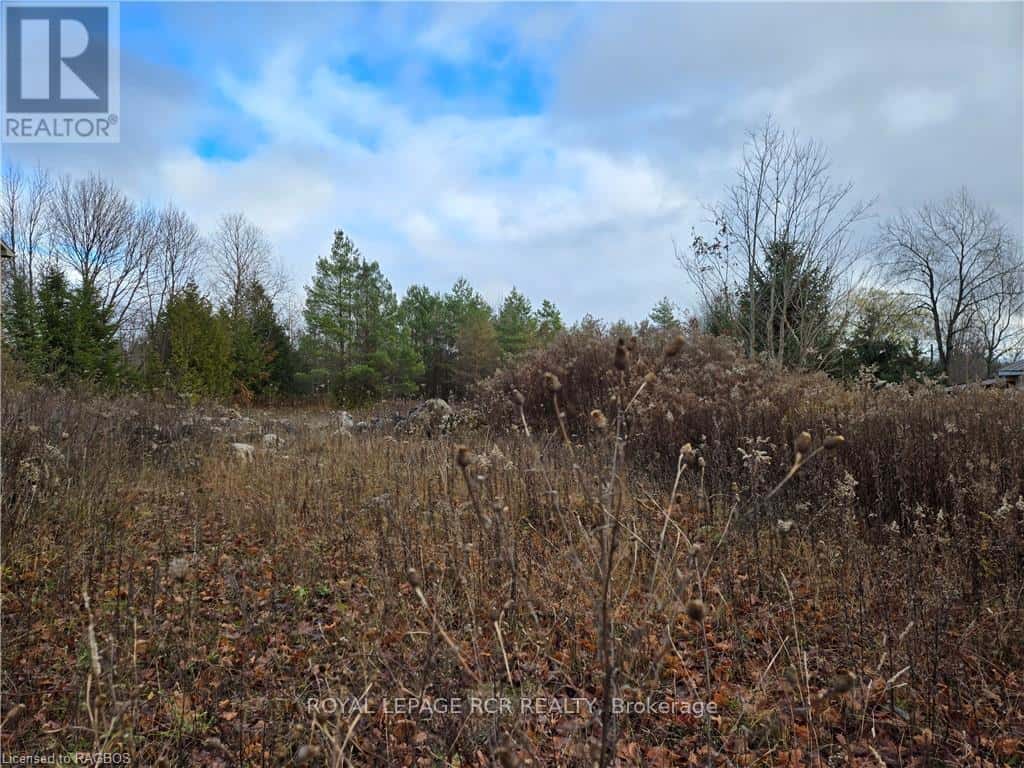 PTLT8ES SALTER STREET — Chatsworth, Ontario - Photo 4 of 12