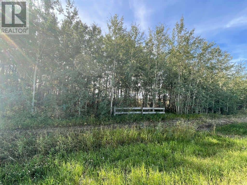 Chinook Valley Road — Rural Northern Lights, County of, Alberta - Photo 2 of 4