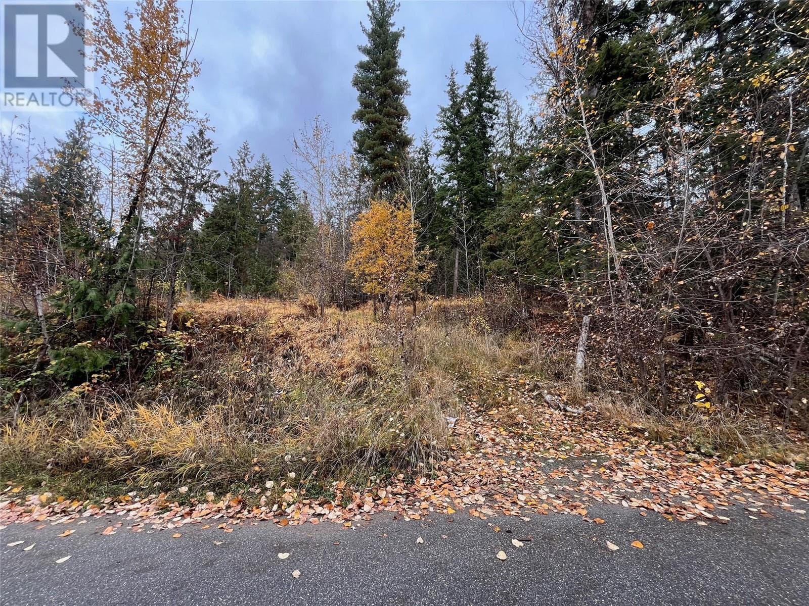 Lot 150 Anglemont Drive Lot# 150 — Anglemont, British Columbia - Main photo
