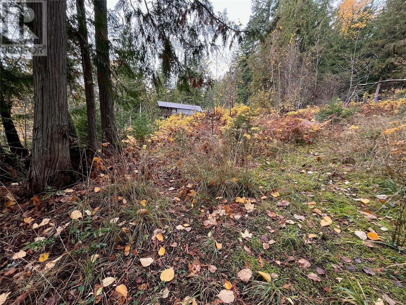 Lot 150 Anglemont Drive Lot# 150 — Anglemont, British Columbia - Photo 2 of 4