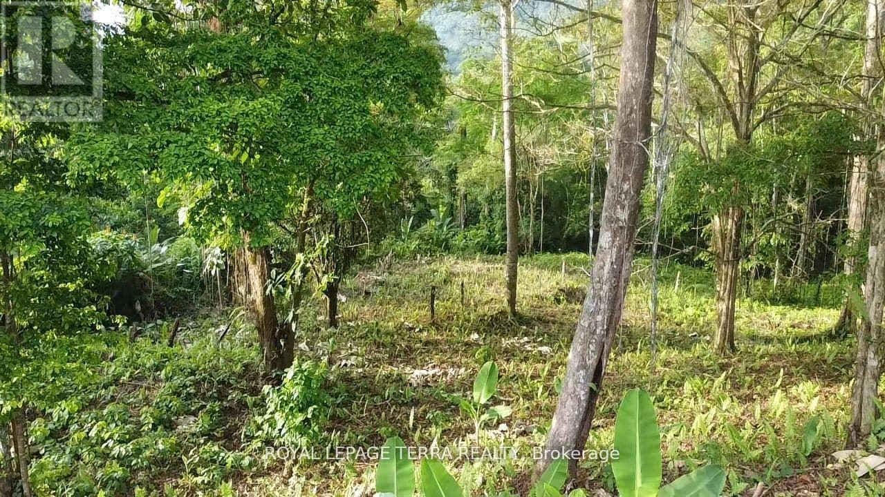 2 AVENIDA PRINCIPLE — Costa Rica, Ontario - Main photo