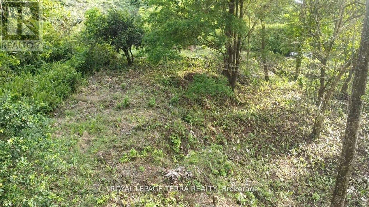 2 AVENIDA PRINCIPLE — Costa Rica, Ontario - Photo 2 of 8