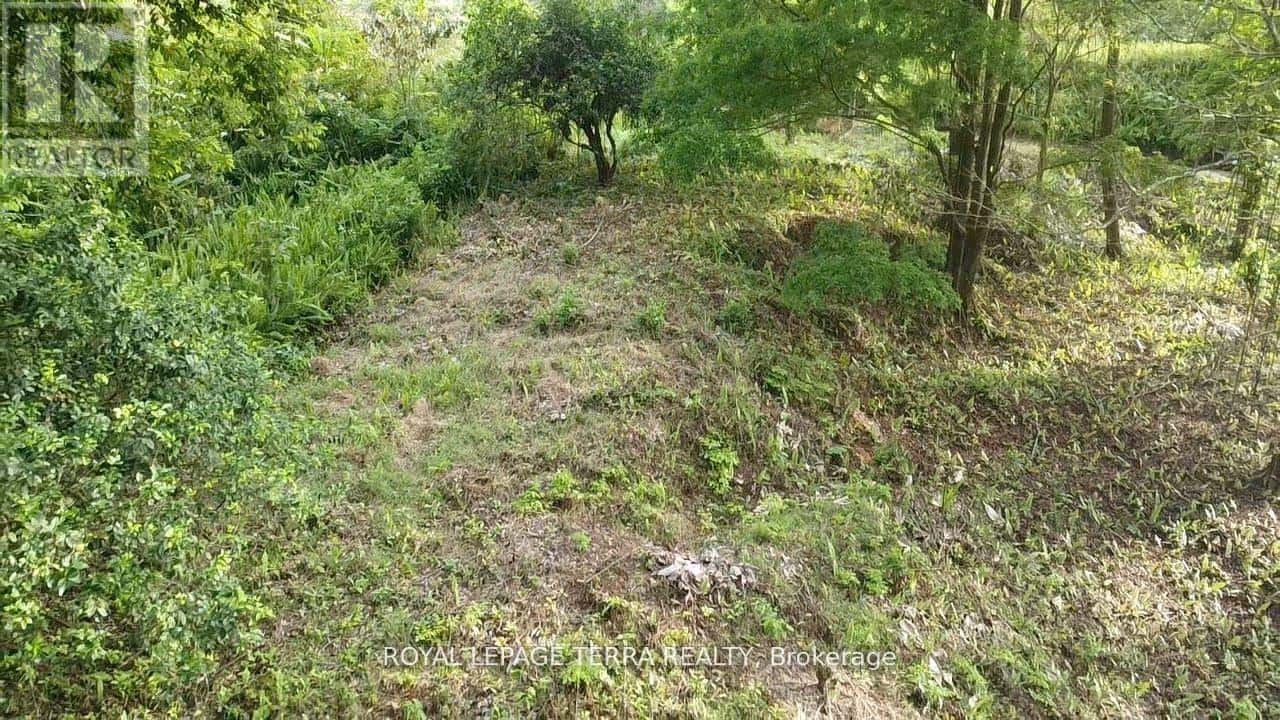 2 AVENIDA PRINCIPLE — Costa Rica, Ontario - Photo 4 of 8