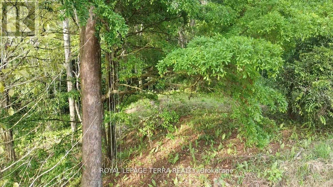 2 AVENIDA PRINCIPLE — Costa Rica, Ontario - Photo 5 of 8