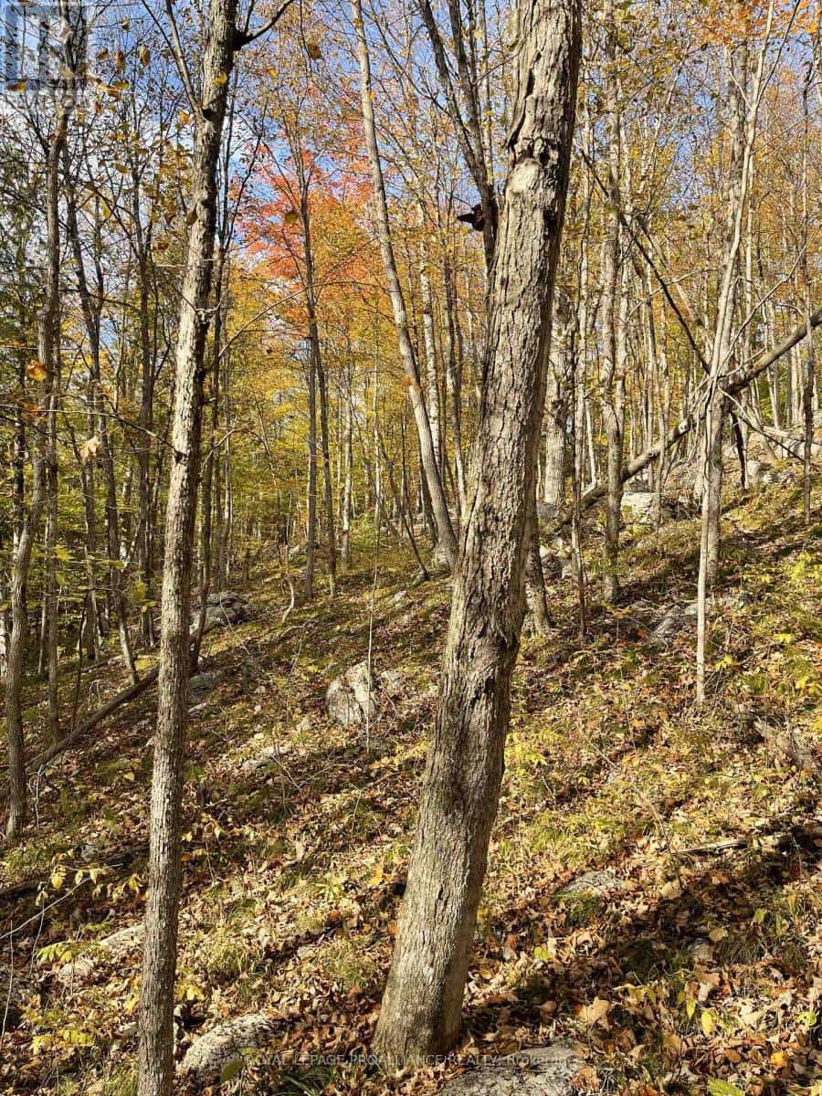 0 MARLBANK RD — Tweed (Hungerford (Twp)), Ontario - Photo 3 of 12