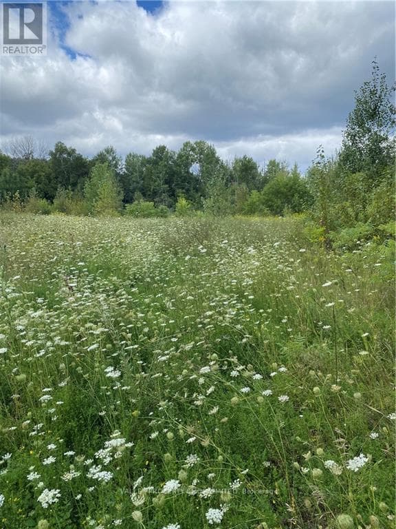 00 JEAN AVENUE — Laurentian Valley, Ontario - Main photo