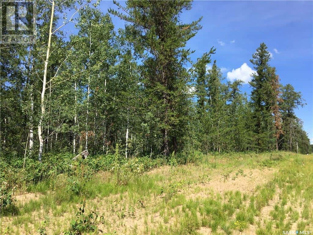 Prime Acreage Parcel 3.13 Acres — Nipawin Rm No. 487, Saskatchewan - Photo 2 of 10