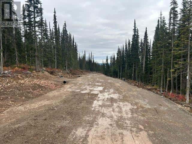 PST LOT-9 ALPINE WAY — Smithers, British Columbia - Photo 5 of 7