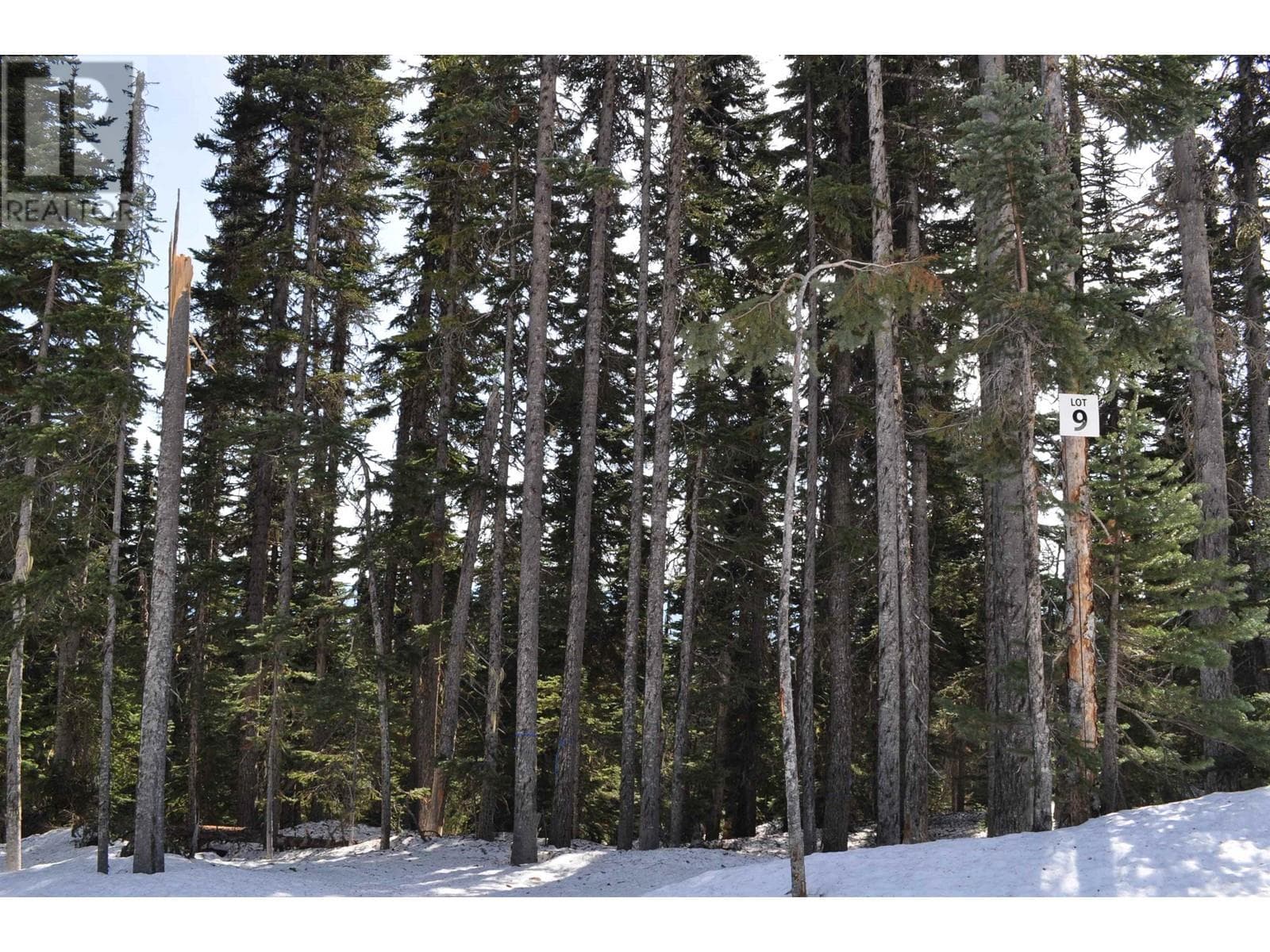 PST LOT-9 ALPINE WAY — Smithers, British Columbia - Main photo