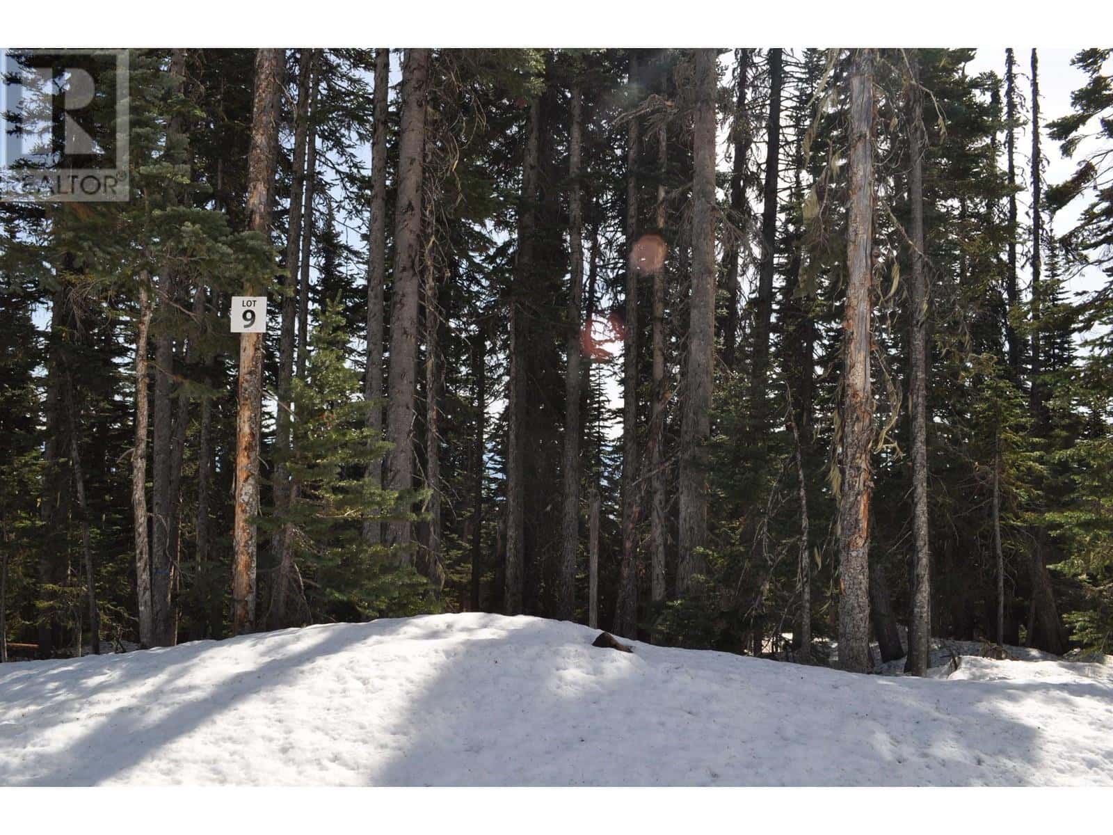 PST LOT-9 ALPINE WAY — Smithers, British Columbia - Photo 3 of 7