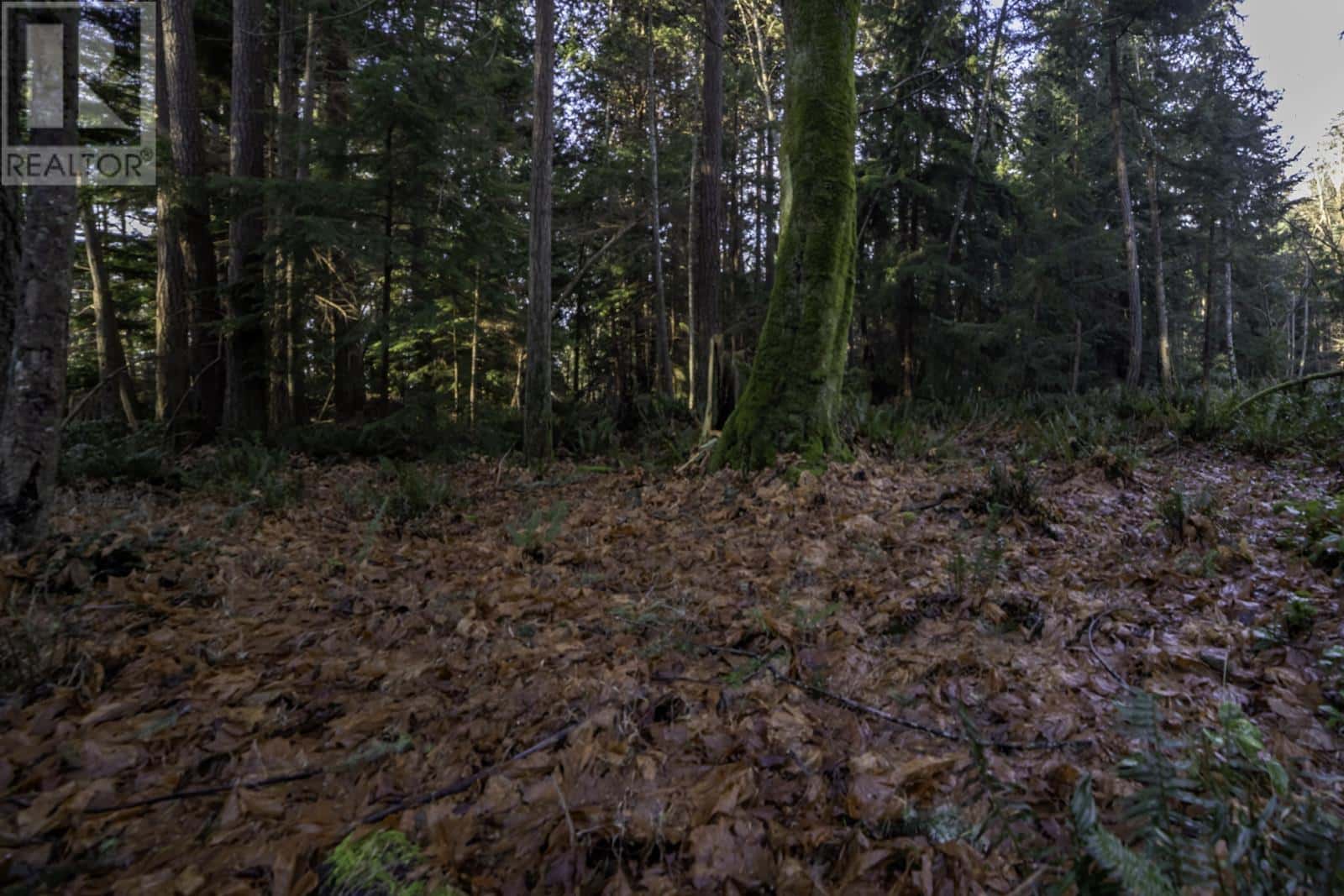 1860 LIGHTHOUSE LANE — Bowen Island, British Columbia - Photo 4 of 14