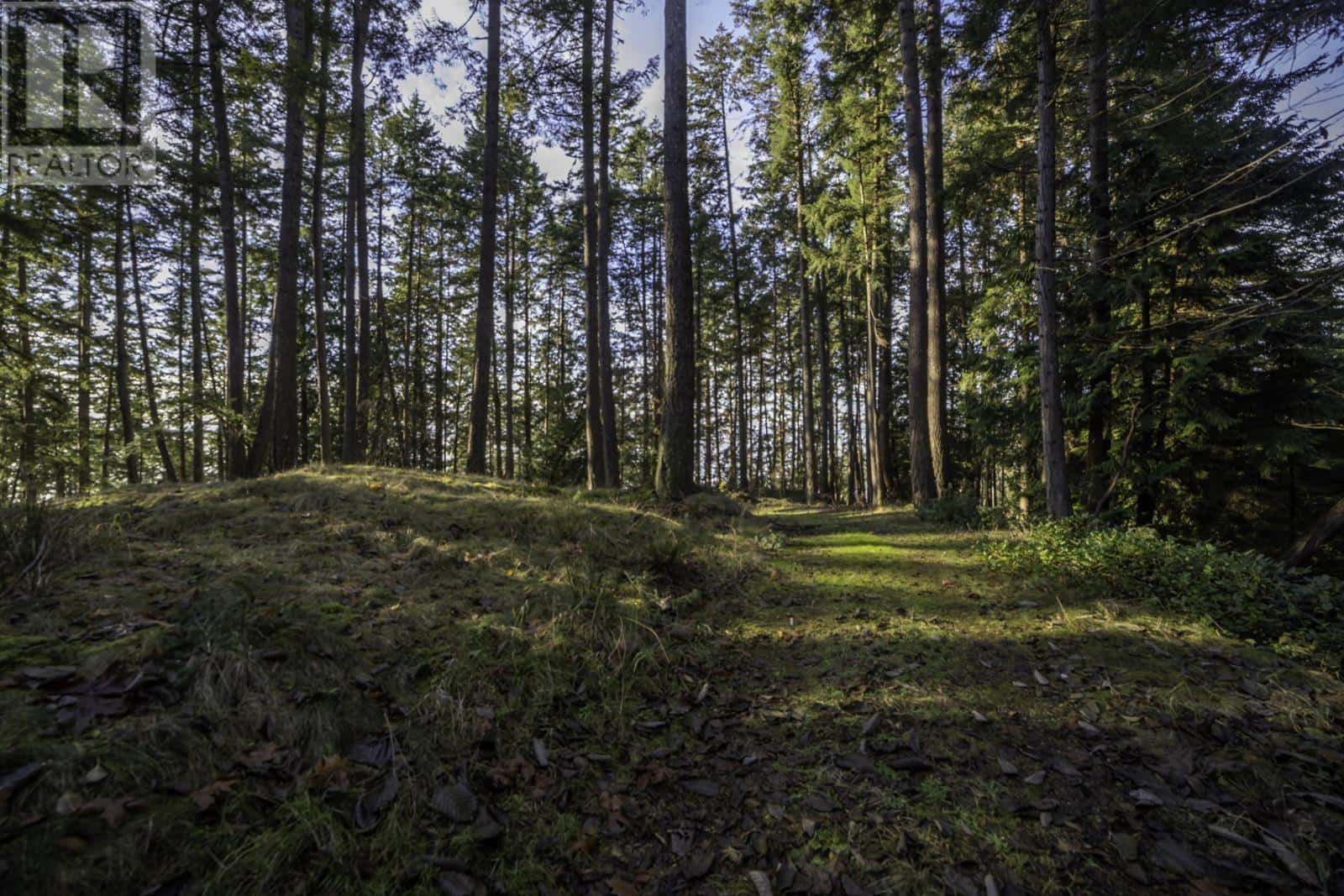 1860 LIGHTHOUSE LANE — Bowen Island, British Columbia - Photo 5 of 14