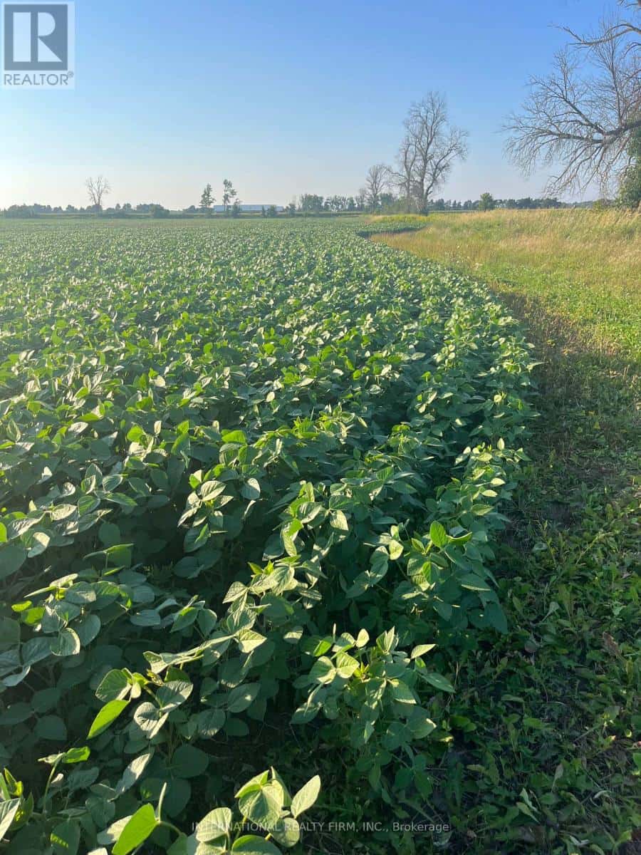 5944 10TH LINE — Essa, Ontario - Photo 5 of 26