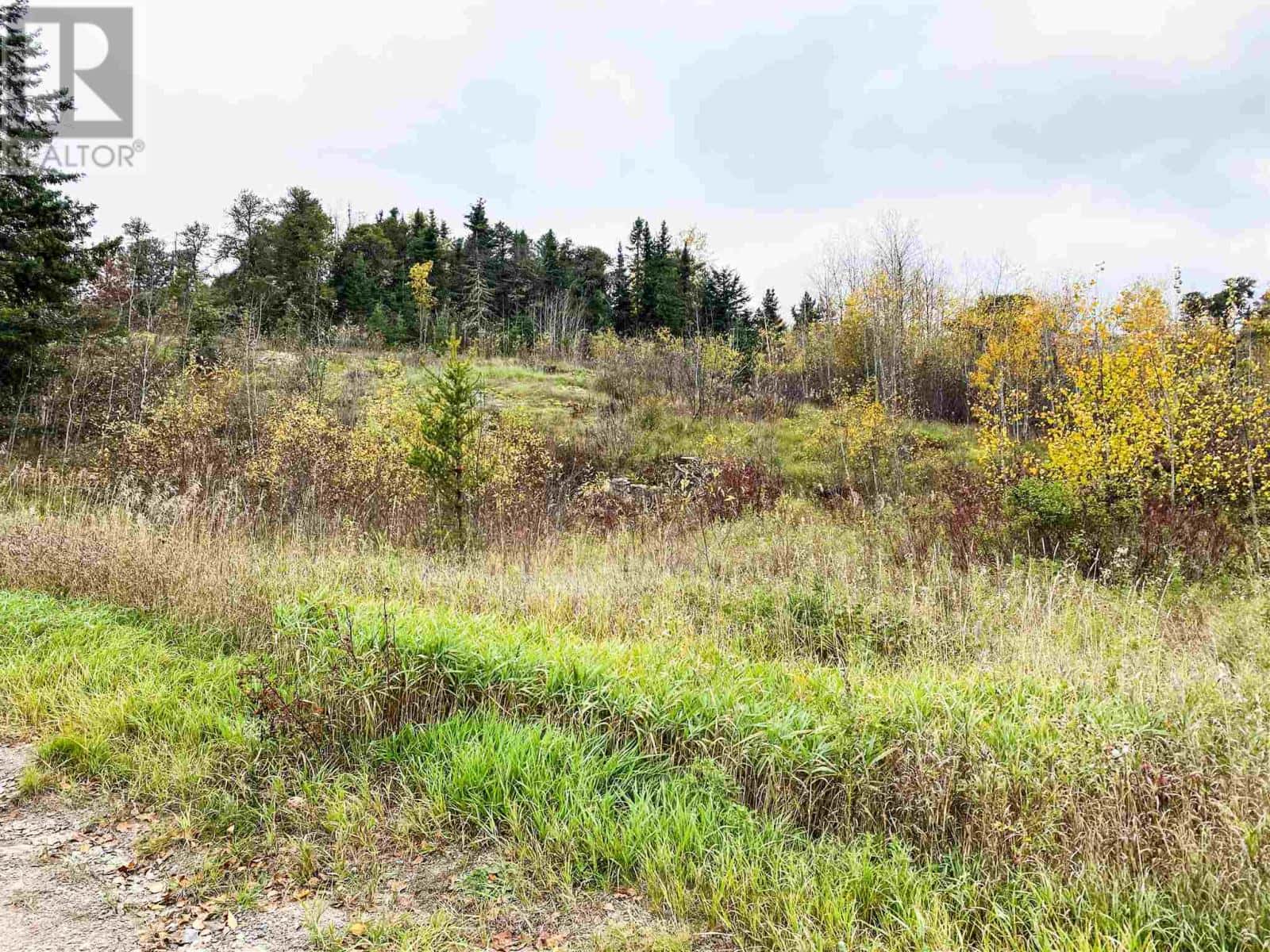 27 Howey ST — Red Lake, Ontario - Photo 3 of 9