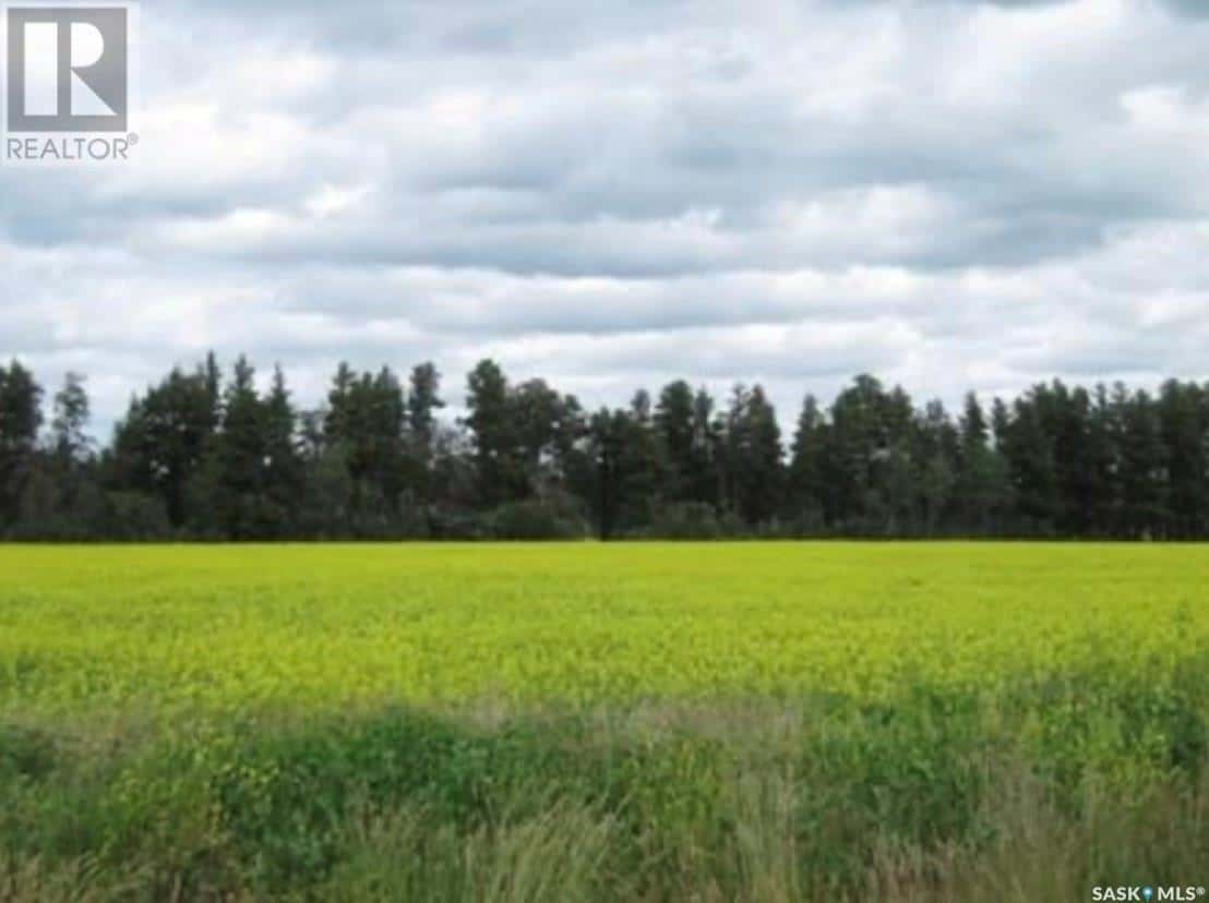 Lot 11 Parcel 3.41 Acres — Nipawin Rm No. 487, Saskatchewan - Photo 2 of 6