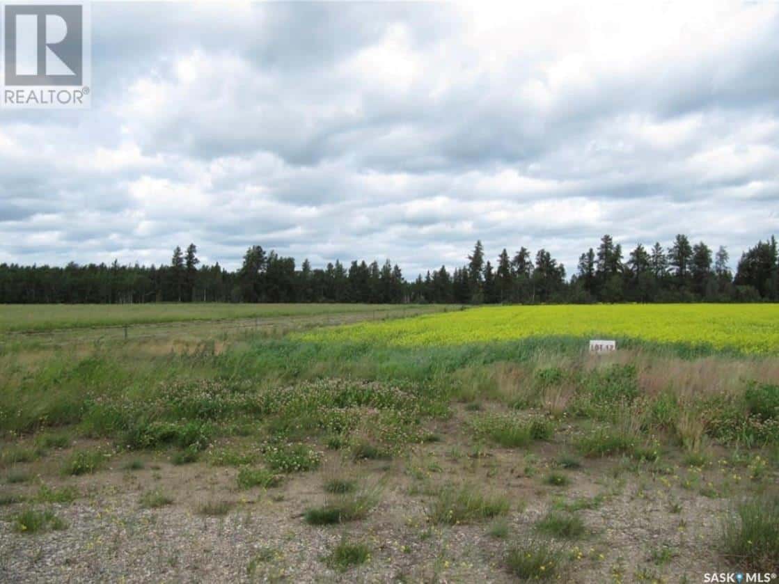 Lot 11 Parcel 3.41 Acres — Nipawin Rm No. 487, Saskatchewan - Photo 3 of 6