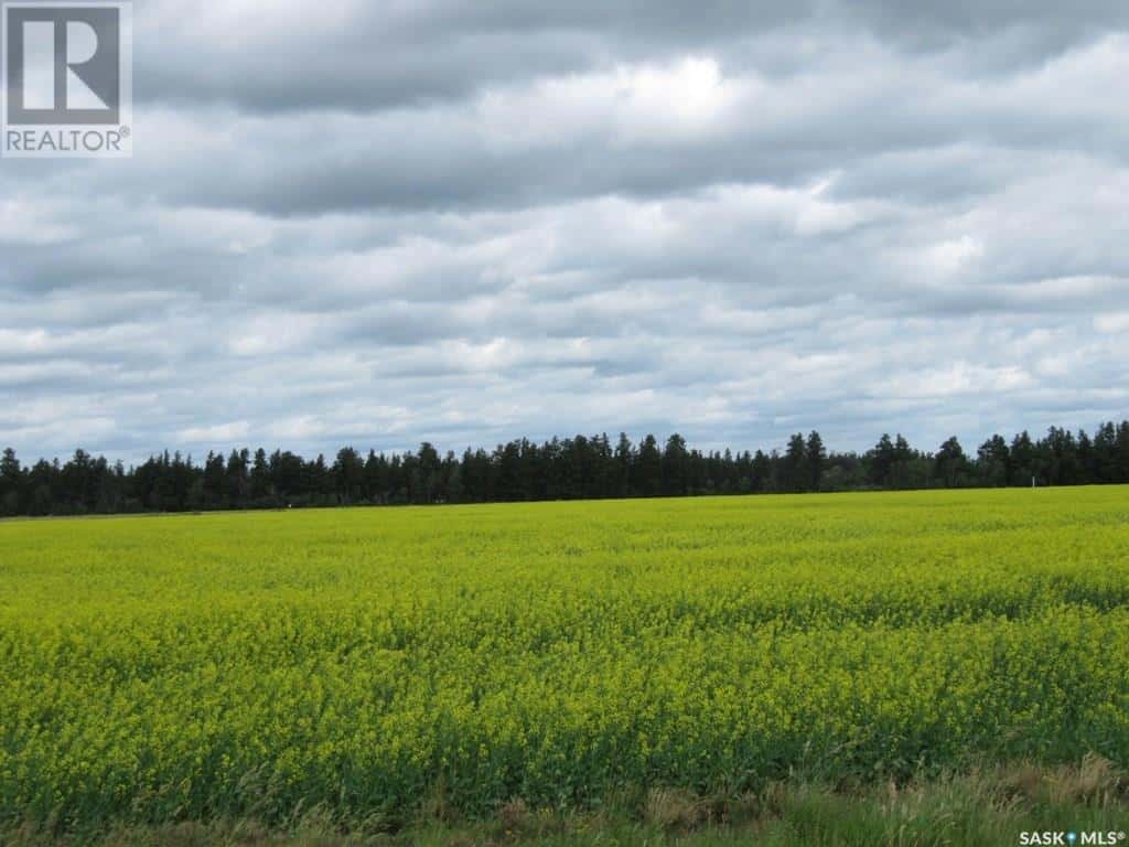 Lot 10 Parcel 3.55 Acres — Nipawin Rm No. 487, Saskatchewan - Photo 2 of 5