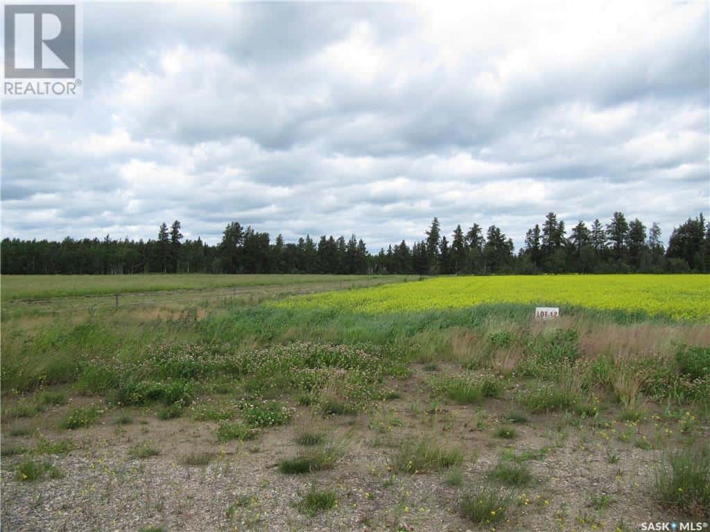 Lot 10 Parcel 3.55 Acres — Nipawin Rm No. 487, Saskatchewan - Photo 4 of 5