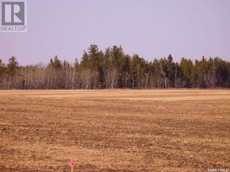 Lot 10 Parcel 3.55 Acres — Nipawin Rm No. 487, Saskatchewan - Photo 5 of 5