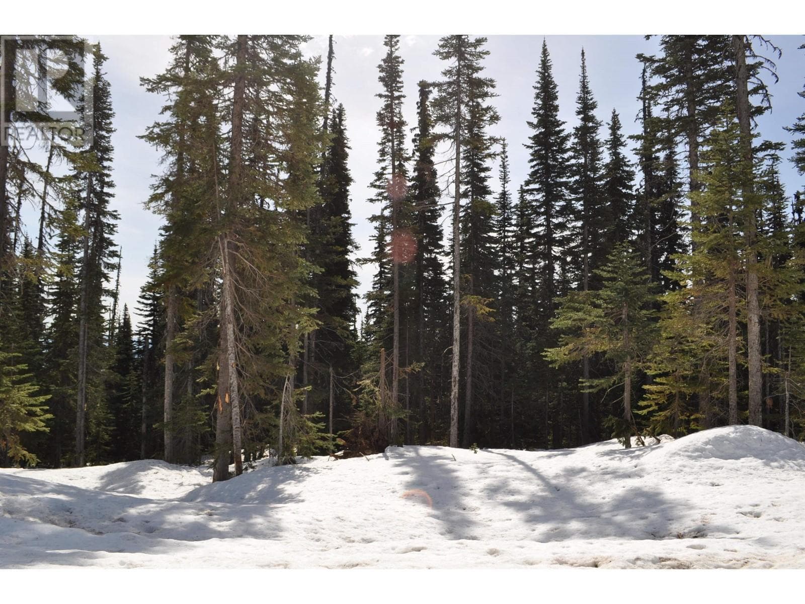 PST LOT-12 ALPINE WAY — Smithers, British Columbia - Main photo