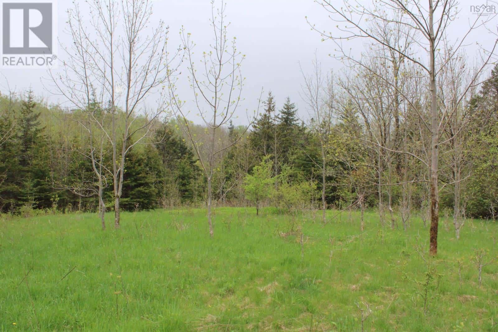 Lot 1 Shaw Road — Clementsport, Nova Scotia - Photo 3 of 6