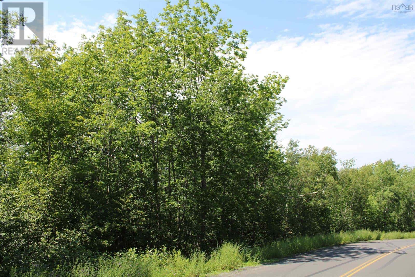 Lot 1 Shaw Road — Clementsport, Nova Scotia - Photo 4 of 6