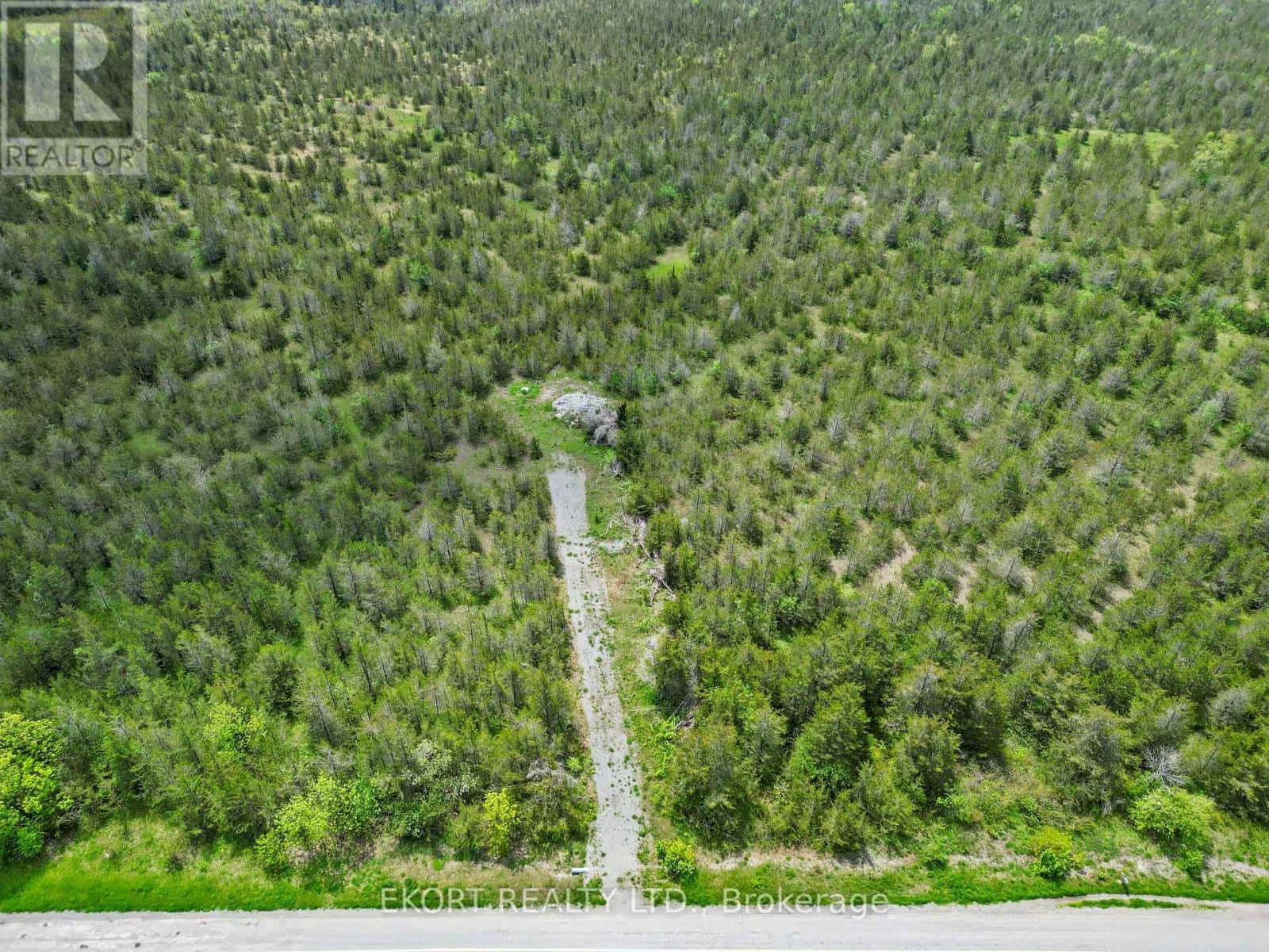 3394 COUNTY ROAD 13 — Prince Edward County (South Marysburg Ward), Ontario - Photo 5 of 29