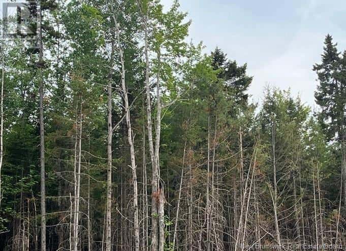 Lot 24-05 Chultun Court — Lower Coverdale, New Brunswick - Photo 2 of 2
