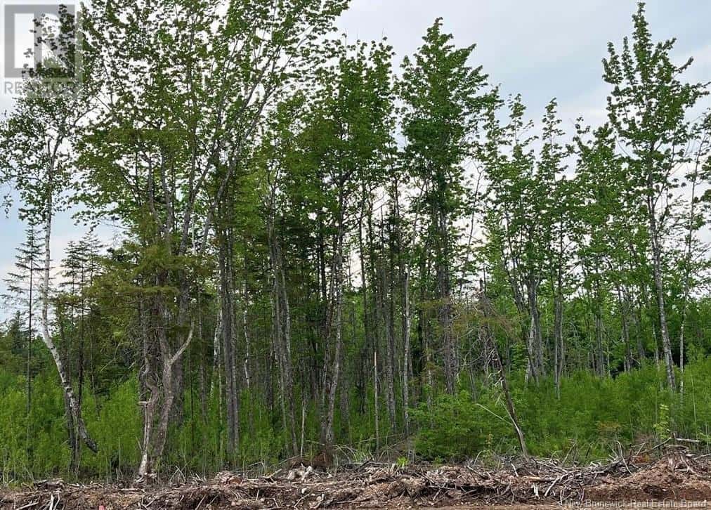 24-03 Chultun Court — Lower Coverdale, New Brunswick - Photo 2 of 2