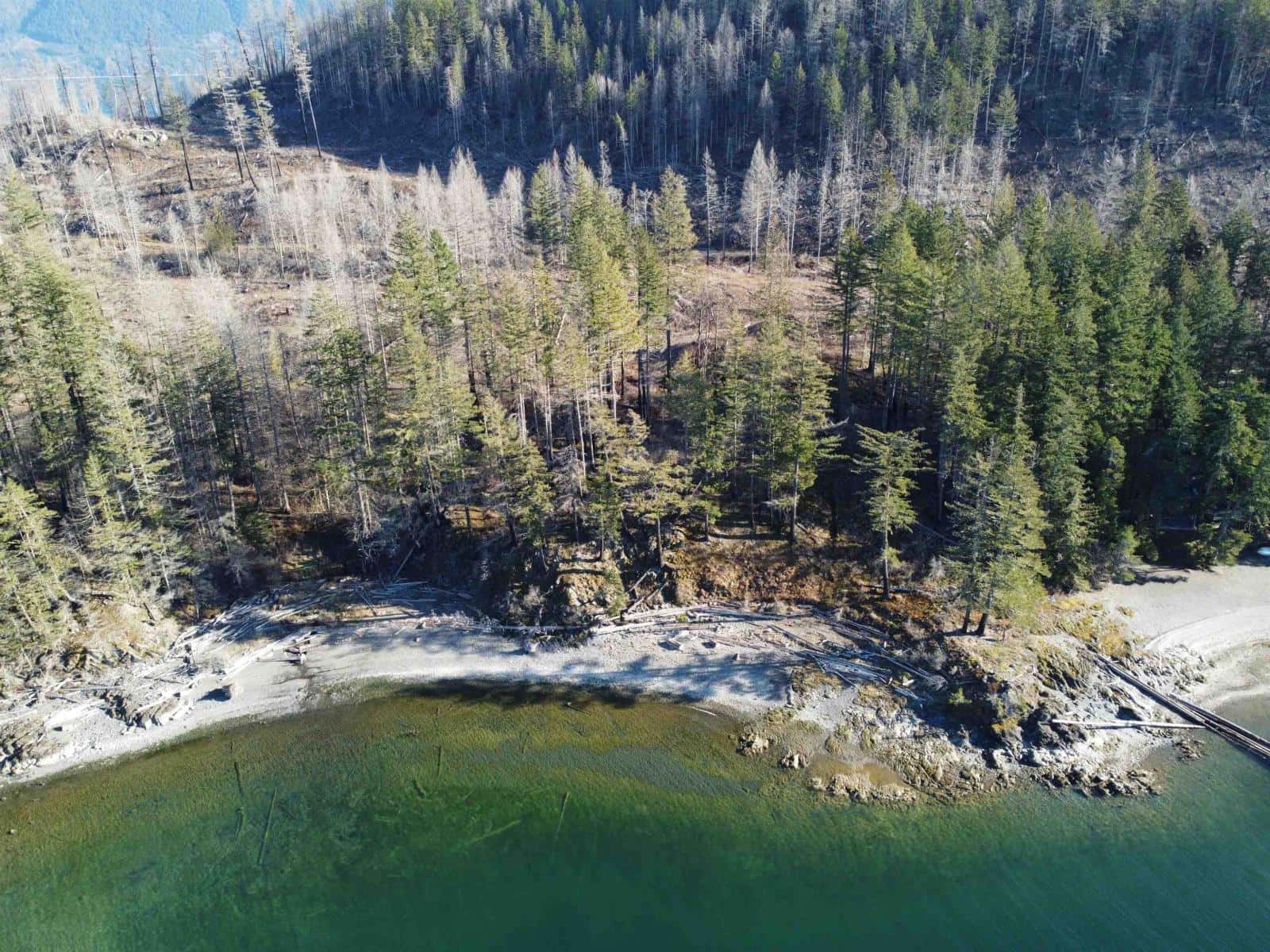 DL 2770 LONG ISLAND, Harrison Lake — Harrison Hot Springs, British Columbia - Photo 4 of 11