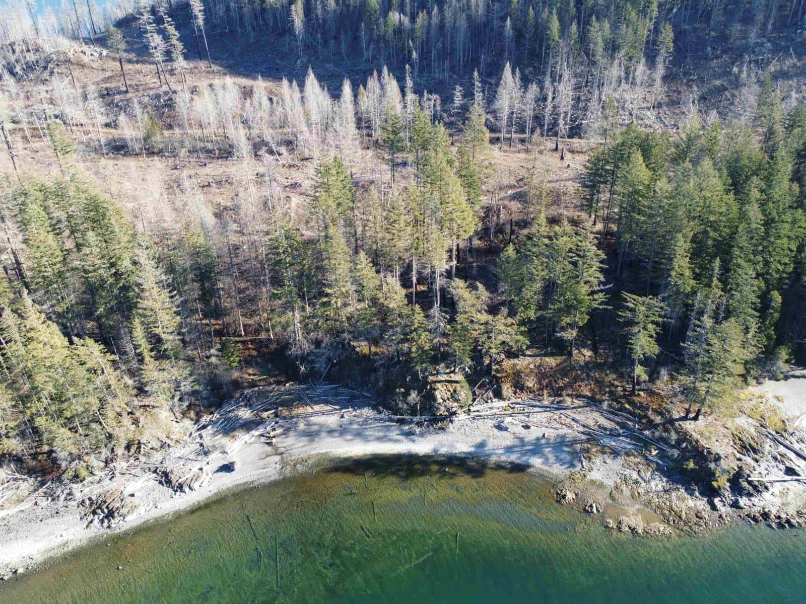 DL 2770 LONG ISLAND, Harrison Lake — Harrison Hot Springs, British Columbia - Photo 5 of 11